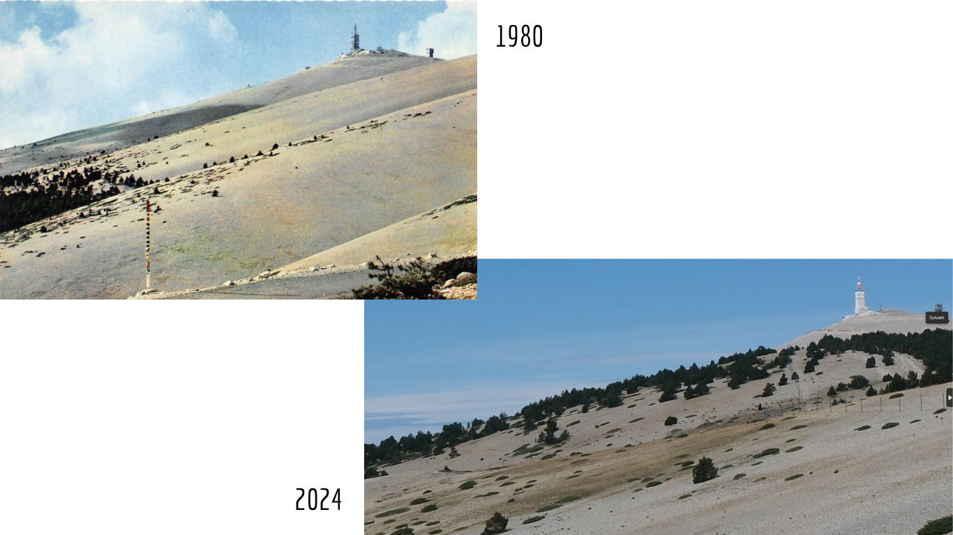 adret du Ventoux, le blanc des cailloux se teinte du vert de la végétation