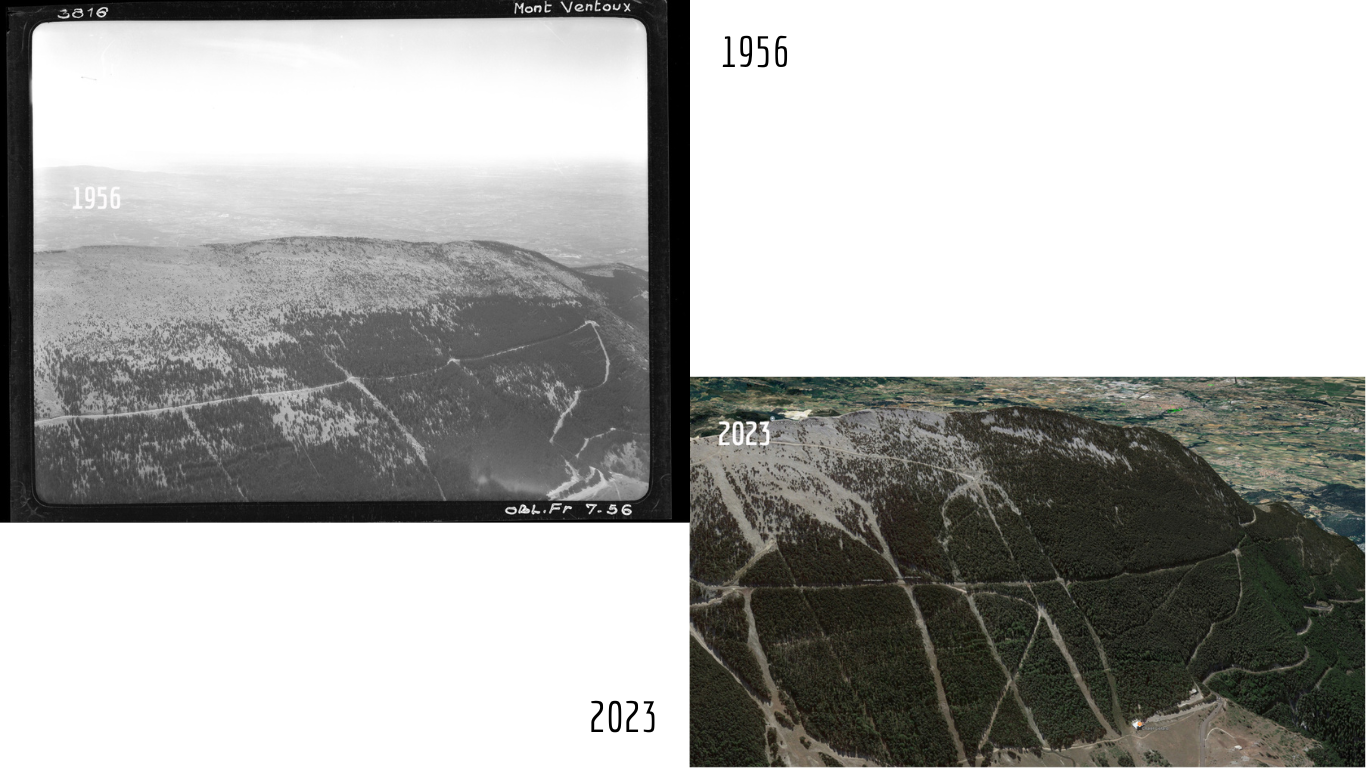 photos de l'ubac du Ventoux en 1956 et 2023 : la végétation gagne