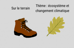 ecosysteme et changement climatique
