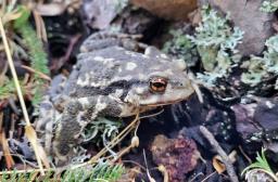 Crédits Bernard Petit