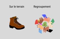 regroupement
