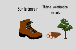 picto valorisation bois