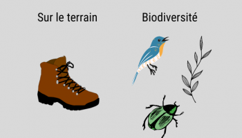 Evénement terrain biodiv