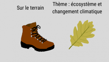 ecosysteme et changement climatique
