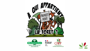 Squirou 4_Espace documentaire