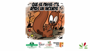 Squirou 5_Espace documentaire