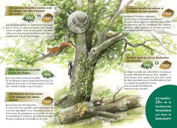 Vieil-arbre