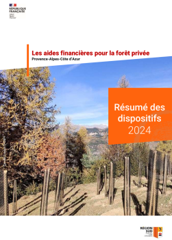 visuel guide des aides 2024