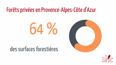 Pourcentage de forêt privée
