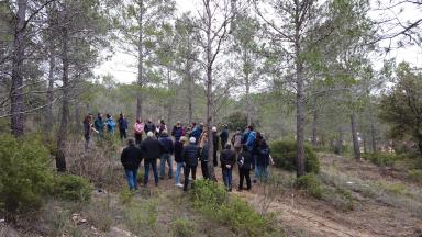 Les participants en forêt