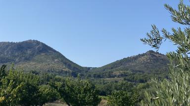 Colline du Graveyron en 2024, les zones épargnées par le feu bien visibles