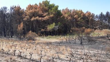 Après l'incendie en 2021