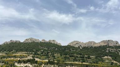 Dentelles sarrasine