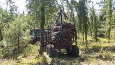 4bis. Sortie au tracteur des stères de chêne.