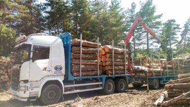 6. Le bois est chargé sur un grumier qui va l'amener à destination.