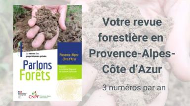 Parlons forêts en Provence-Alpes-Côte d'Azur n°1