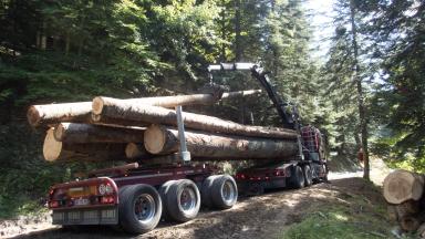 5 - Transport des grumes par l'entreprise AG Bois