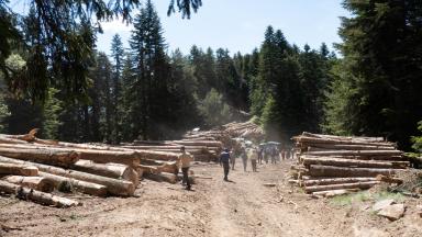 4 - Visite du chantier lors des Assises de la forêt et du bois des Alpes Maritimes