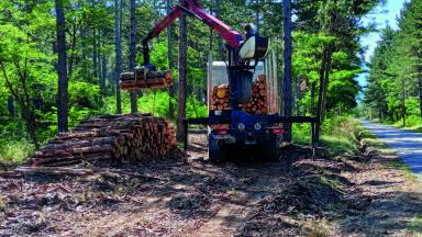 Rendez-vous en forêt pour visiter la chaufferie bois de Saint André les Alpes
