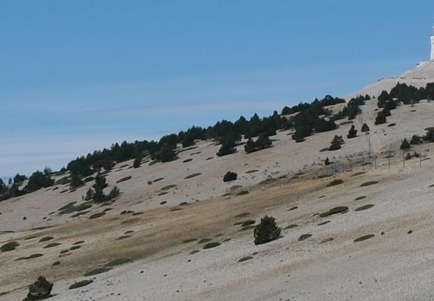 mont ventoux