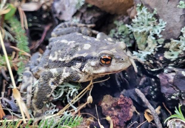 Crédits Bernard Petit