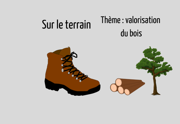 picto valorisation bois