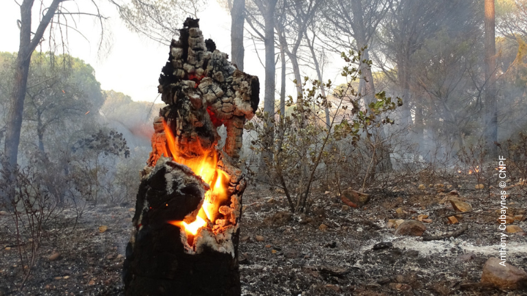 Incendie - traitement des reprises