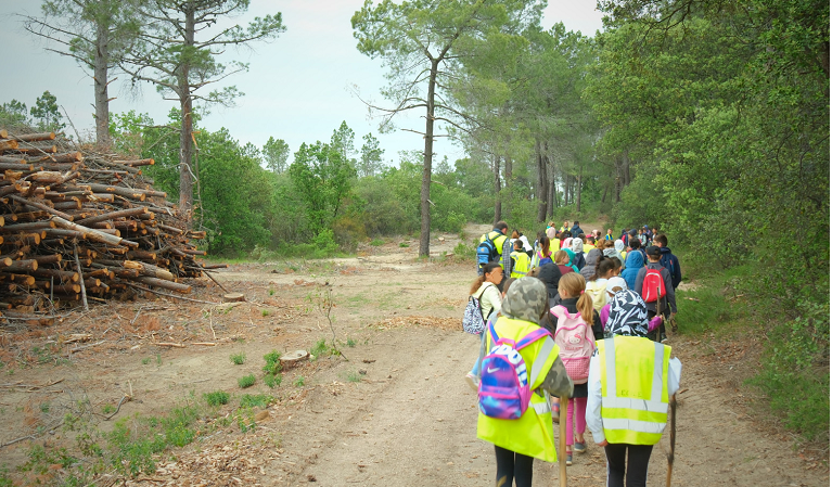 Visite forêt Piolenc