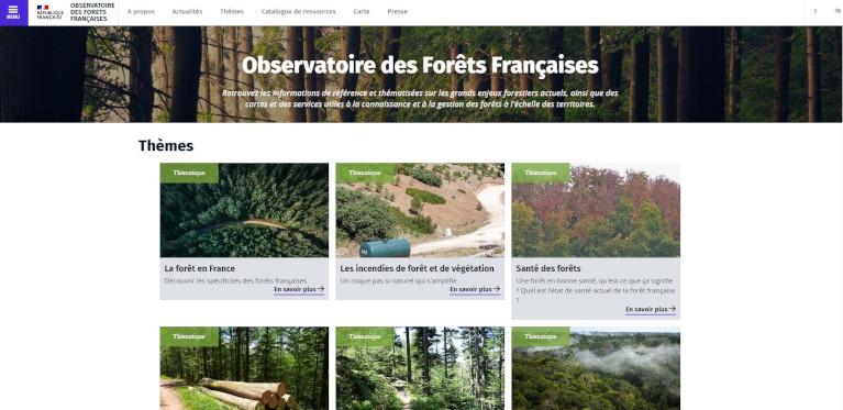 Observatoire des forêts françaises - Page d'accueil