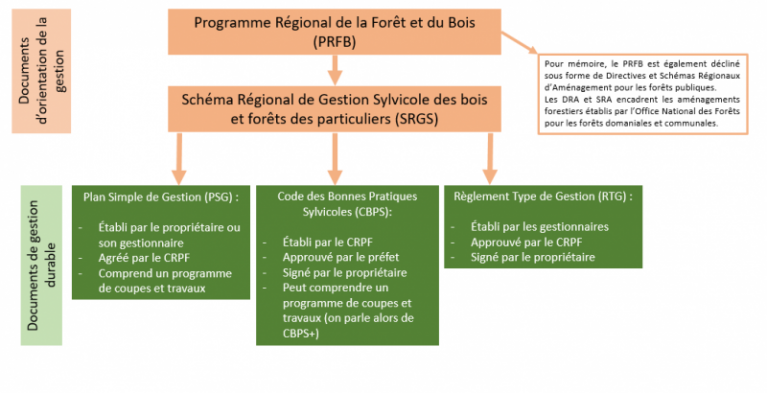 SRGS_schema