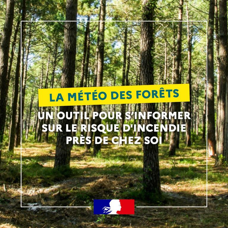 Météo des forêts