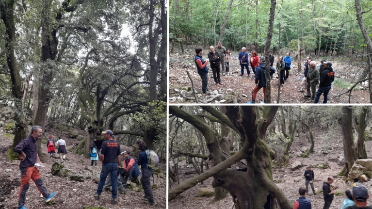 les participants en forêt