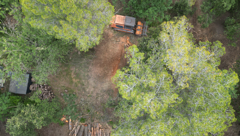 débroussaillement au broyeux à chenilles
